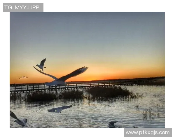 足球明星的青春女友:那些年我们一起追逐的梦想与爱情